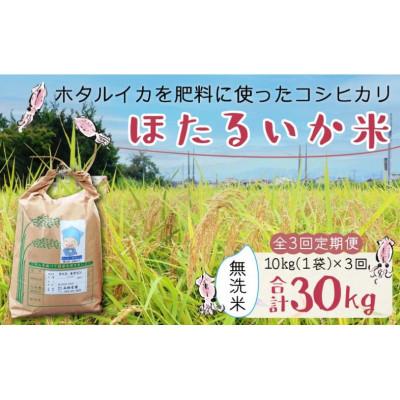ふるさと納税 滑川市 【毎月定期便】ほたるいか米　無洗米　10kg全3回