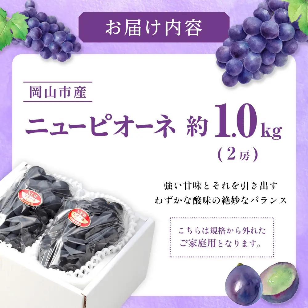 ご家庭用 ニュー ピオーネ 約500g×2房 ｜ ピオーネ　