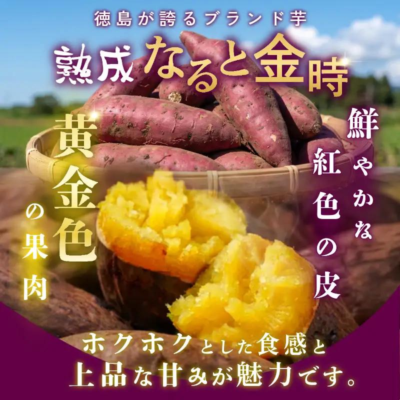 訳あり なると金時 5kg 早掘り さつまいも 鳴門金時