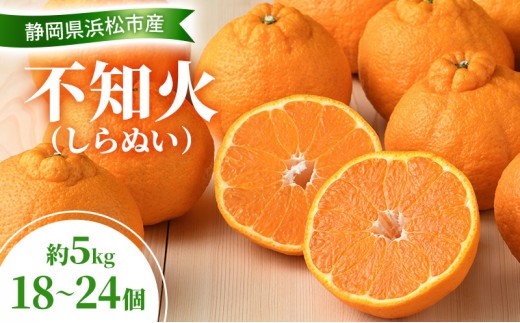 
                  【2027年3月以降発送】 不知火 約5kg 18～24個  しらぬい デコ かんきつ 柑橘 みかん ミカン 蜜柑 フルーツ 静岡 浜松市
                