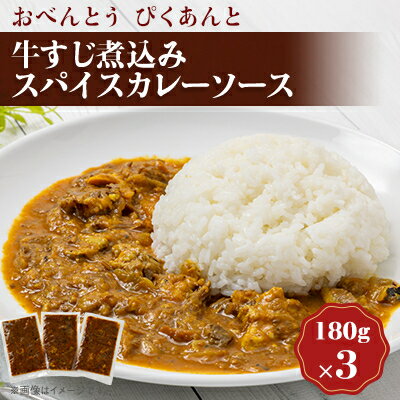 【ふるさと納税】牛すじ煮込みスパイスカレーソース(3食セット)【配送不可地域：離島】【1552929】