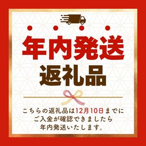 【定期便6回】ココイチ カレーMセット （ポーク10個）  (毎月お届け）｜栃木県・矢板市