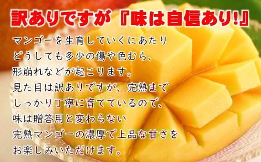 今が旬!訳あり よくばり完熟マンゴーセット3玉 約1.2kg アップルマンゴー  宮崎県西都産 生産者直送【マンゴー専門 スターフルーツカンパニ】<1.7-30>宮崎マンゴー【在庫わずか】
