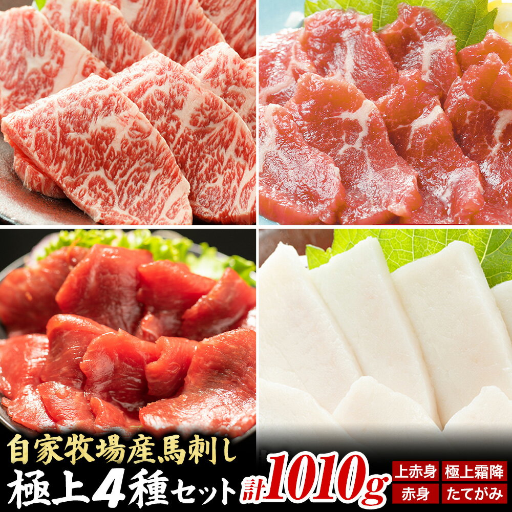 【ふるさと納税】馬肉 馬刺し 自家牧場産 馬刺し極上 4種セット 極上霜降り 上赤身 たてがみ 赤身 1010g 高椋畜産《30日以内に出荷予定(土日祝除く)》熊本県 南関町 馬肉 馬刺し