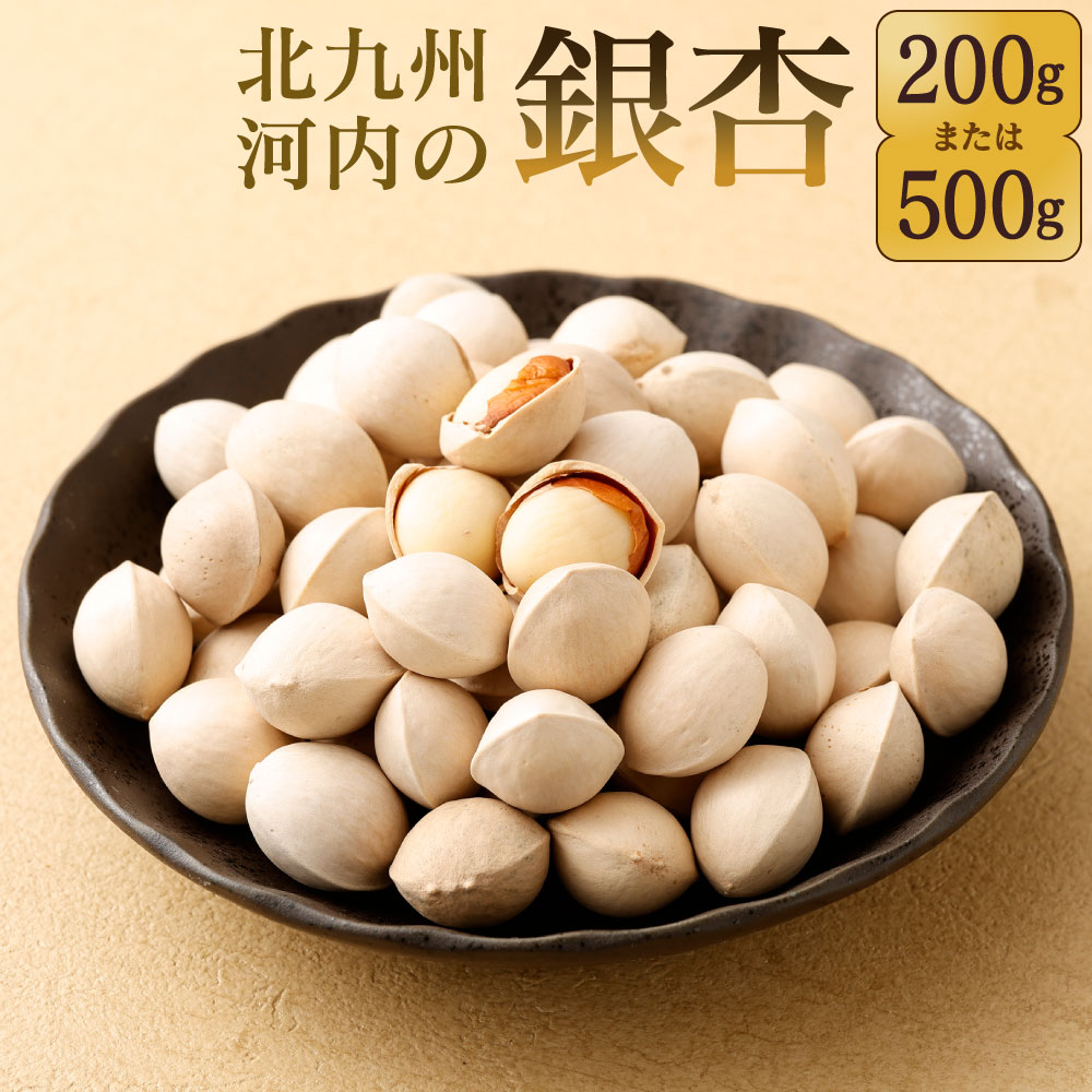 【ふるさと納税】北九州河内の銀杏 〈選べる〉200g または 500g 銀杏 ぎんなん 殻付き 実 おつまみ おやつ 酒の肴 モチモチ 国産 福岡県 北九州市 【2025年11月上旬～2026年2月下旬発送予定】