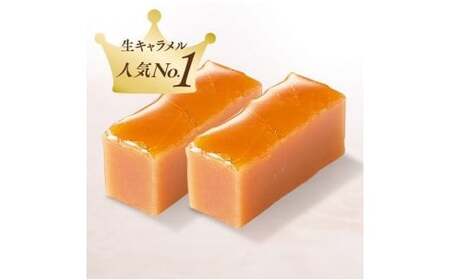 生キャラメル 2種セット向山製作所 生キャラメル 生キャラメル 生キャラメル