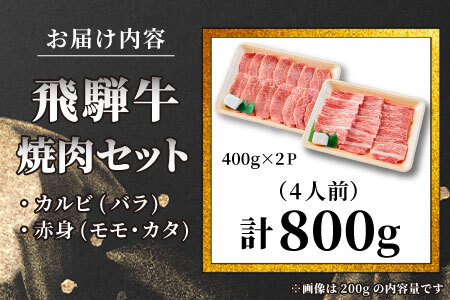 贅沢！ 飛騨牛 焼肉セット 800g 4人前 牛肉 和牛 肉 焼肉 BBQ 霜降り カルビ 赤身 モモ カタ 東白川村 岐阜 養老ミート