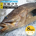 【ふるさと納税】天然クエ（8キロ台・丸もの） 《壱岐市》【壱岐島　玄海屋】[JBS046] クエ 魚 刺身 しゃぶしゃぶ 580000 580000円 58万円 のし プレゼント ギフト