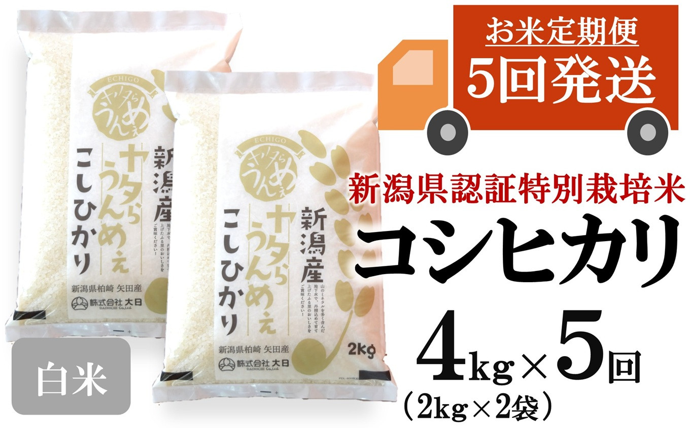 
                  【令和8年産新米・5ヶ月定期便】コシヒカリ 白米 4kg（2kg×2袋）×5回（計 20kg）ヤタらうんめぇ お米 水田環境鑑定士在籍[Y0506]
                