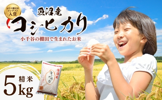 【コシヒカリ 棚田米コンテスト】 令和7年産 魚沼産コシヒカリ 精米5kg(5kg×1袋)｜新潟県産 こしひかり お米 白米 精米したて 寒暖差 雪解け水 甘み 生産者厳選 数量限定 小千谷市 ブランド米【0002-RC01-03】