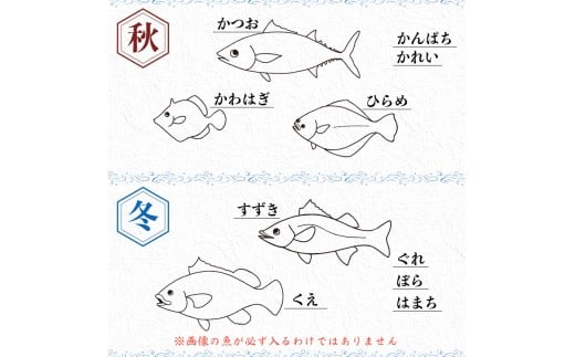 【定期便6回】 お刺身 定期便 6回