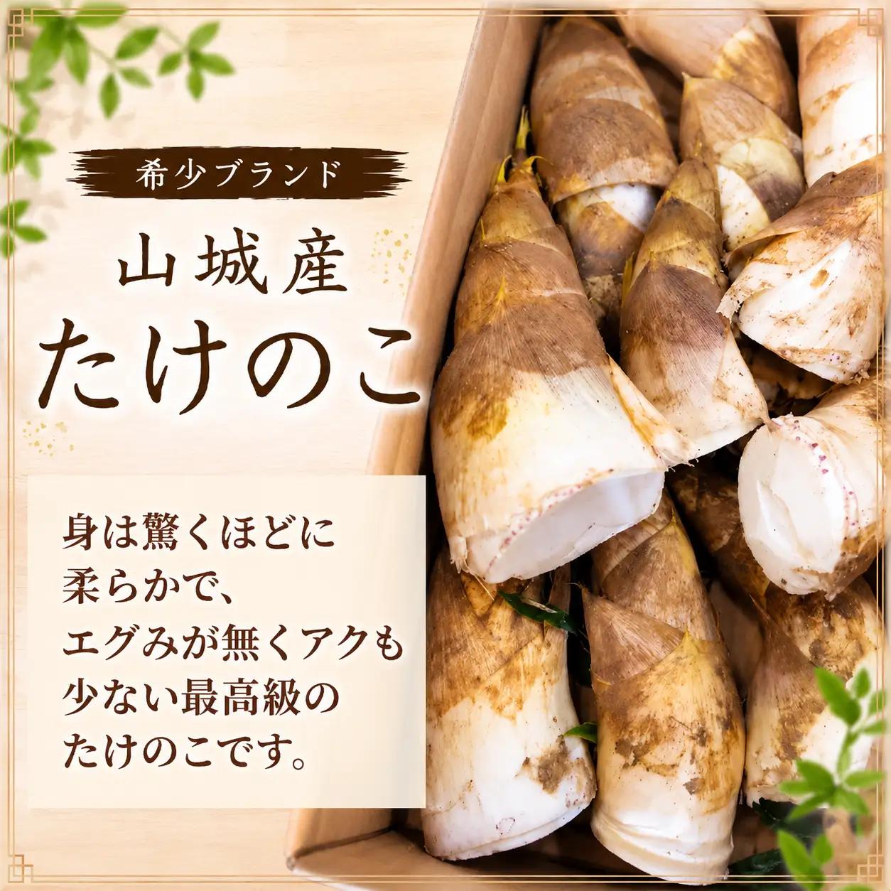 たけのこ食べ比べセット 5種 たけのこ 国産 惣菜 おかず おつまみ 小分け 老舗 京都 井手町