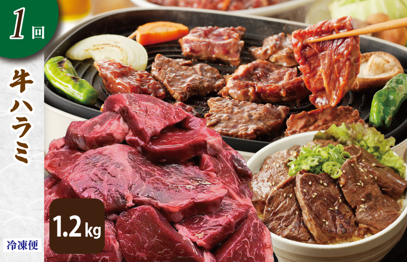 アキラ商店 肉三昧 わくわく 定期便 全5回【毎月配送コース お楽しみ 焼肉 ていきびん 焼くだけ 小分け BBQ やきにく 数量限定】 099Z128