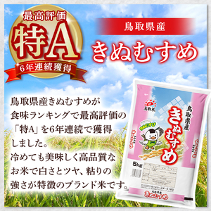 【数量限定】【令和7年産米】鳥取県産 きぬむすめ （2kg）  パールライス 令和7年産米