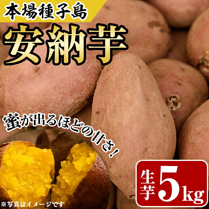 【ふるさと納税】種子島産 安納芋(5kg) 国産 中種子町 芋 さつま芋 生芋 蜜芋 デザート おやつ 焼芋 やきいも 焼き芋 野菜 【あぐりの里】※北海道・沖縄配送不可※
