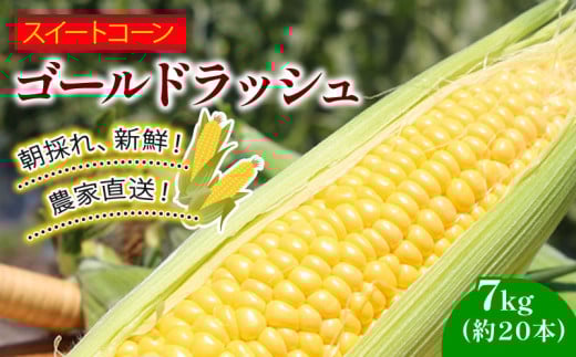 訳あり スイートコーン (ゴールドラッシュ) 7㎏（約20本） | 2025年発送 6月 贈答用 ギフト用にも スイート コーン 野菜 トウモロコシ とうもろこし 厳選 人気 夏 やさい 旬 甘い 先行予約 産地直送 数量限定 冷蔵 期間限定 季節限定 おすすめ 高知県 南国市