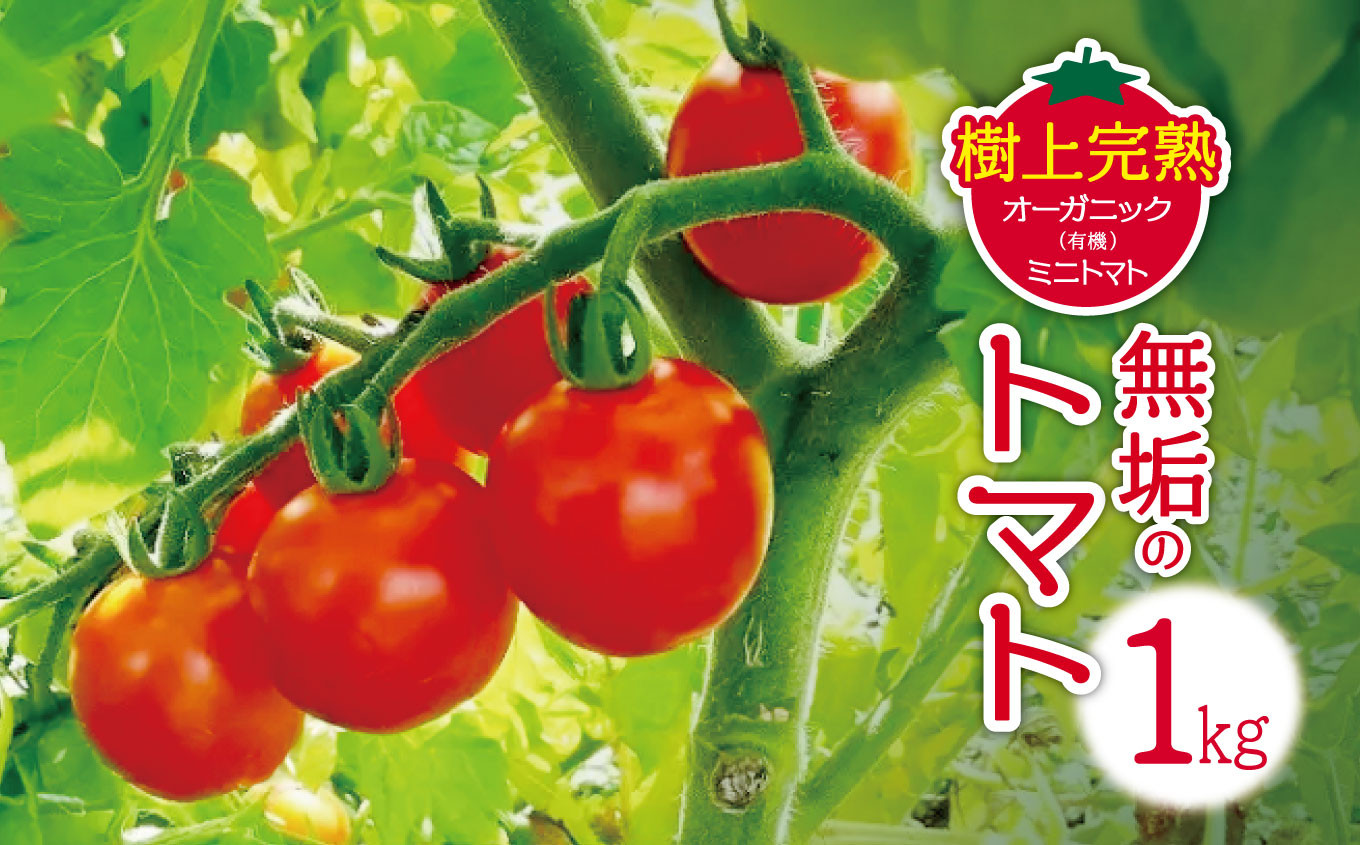 
無垢のトマト（樹上完熟オーガニック(有機)ミニトマト）1kg | 長野県 松本市 信州産
