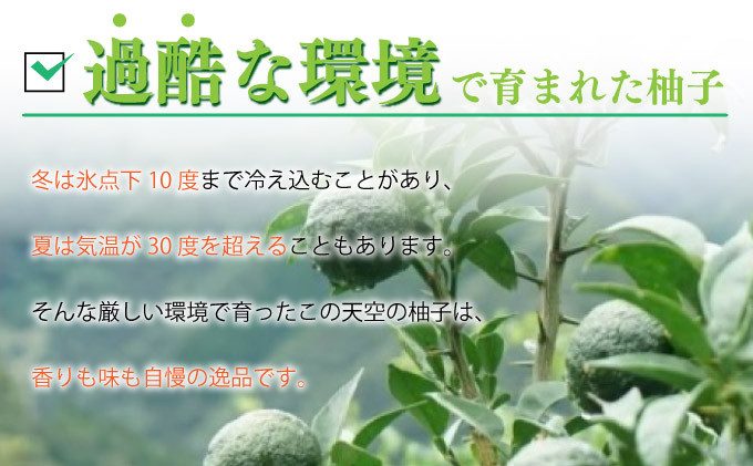 夏の太陽の光をたっぷり浴びた青柚子はエネルギッシュな色をしています。