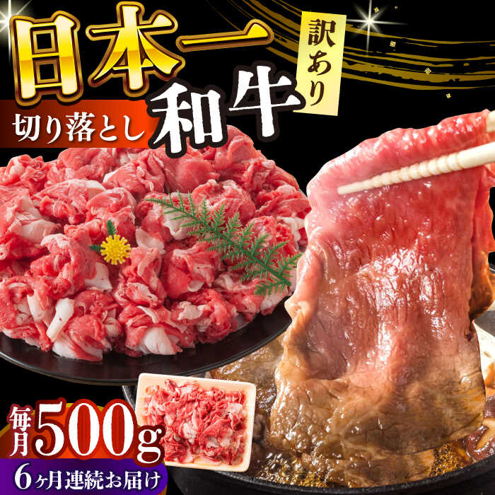 【ふるさと納税】【全6回定期便】【訳あり】【A4〜A5】長崎和牛焼肉切り落とし(肩ロース・バラ）　500g【株式会社 MEAT PLUS】[DBS043]