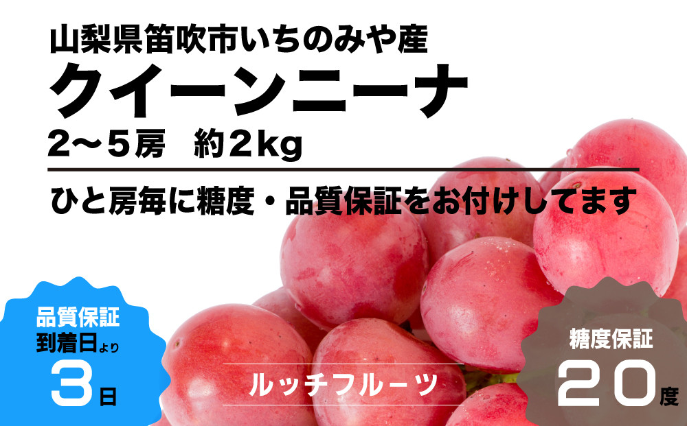 
            【全房糖度20度保証付】クイーンニーナ  約2kg 2～5房【2025年発送】＜希少品種＞ルッチスタッフいち推し！人気急上昇中！【数量限定】旬の美味しいフルーツだけをお届けします【ルッチ Rucci】産地直送 山梨県 笛吹市 果物 葡萄 ぶどう 赤ブドウ 赤系 贈答 贈り物 化粧箱 ギフト 人気 ランキング リピート 高評価 2025年 令和7年 先行予約 期間限定 104-045
          