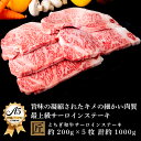 【ふるさと納税】とちぎ和牛 A5サーロイン 約200g×5枚 ｜ 国産 和牛 牛 肉 生産者 認定 銘柄 A5 旨味 うまみ きめ細かい サシ 霜降り とろける 品質 柔らかく 美味しい おいしい 芸術品 特産品 栃木県 真岡市 送料無料 栃木県共通返礼品