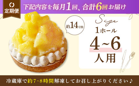 【全6回定期便】 パイナップルチーズタルト1ホール(14cm)【心優　－Cotoyu Sweets－】[KAA534]