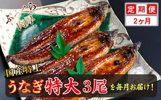 
【定期便２回】国産！特上うなぎのかば焼き 約250g × 3尾 × 2回お届け （毎月お届け）
