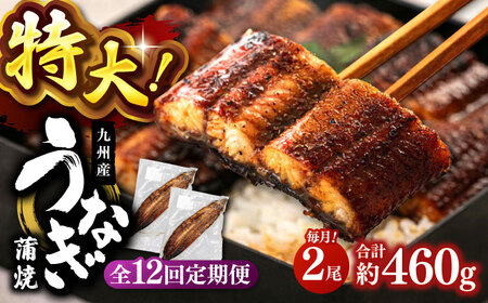 全12回定期便 特大！ 鹿児島産 うなぎ 蒲焼2尾セット桂川町/山水商事 [ADAH014]