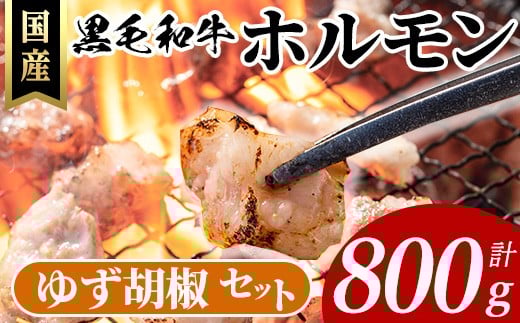 国産黒毛和牛ホルモン計800g(200g×4P)&ゆず胡椒(1個) 牛肉 ホルモン 【ナンチク】A996
