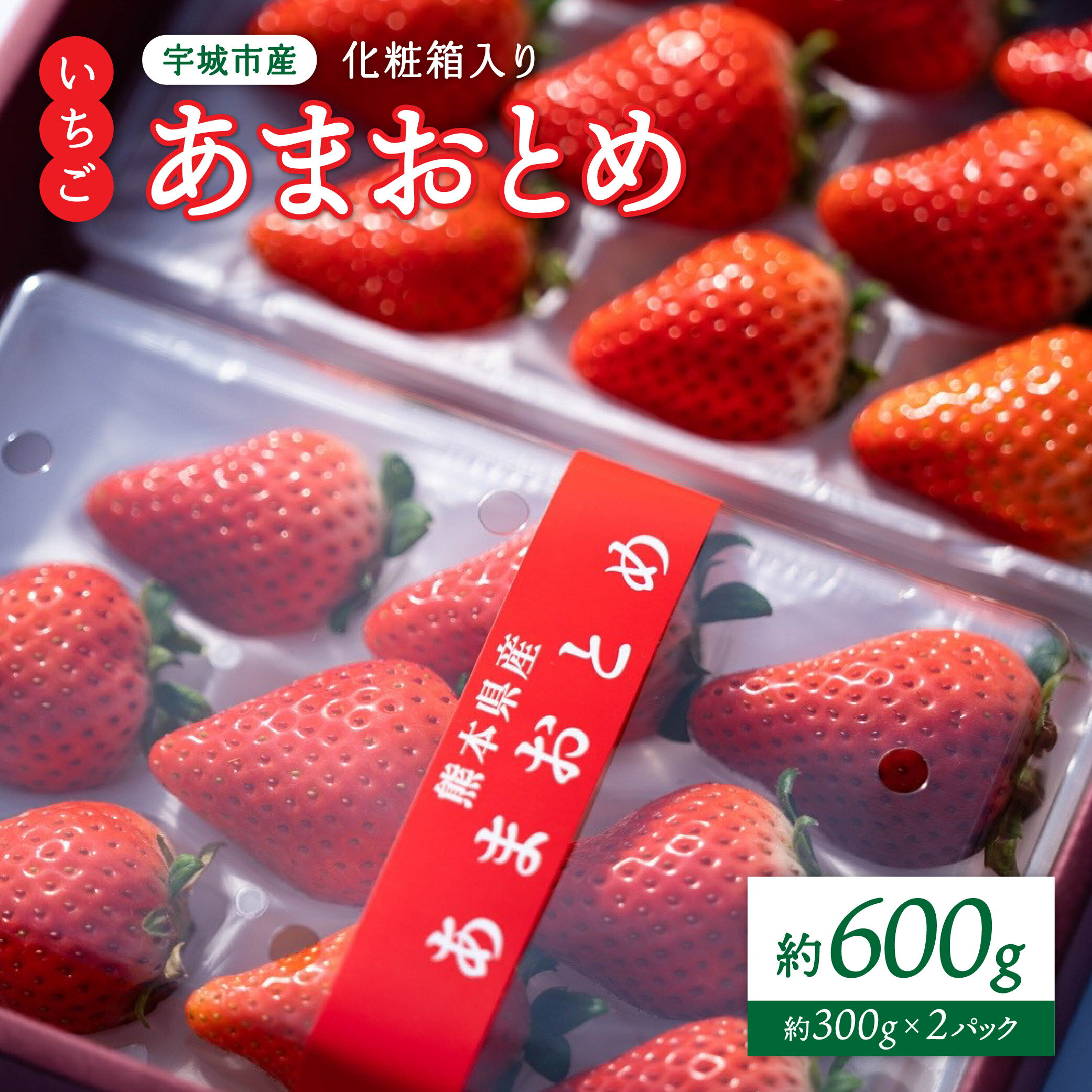 【ふるさと納税】先行予約【配送月が選べる】 化粧箱入り いちご あまおとめ 約600g （約300g×2パック)【2026年1月上旬〜3月下旬発送予定】 苺 熊本県産 九州産 国産 NAGATA FARM