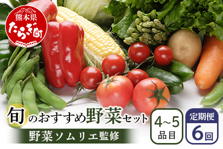 【定期便 6回】野菜ソムリエ 監修 旬の おすすめ 野菜 セット ４?5品 (1?2名様向け) 6回配送 数量限定 新鮮 野菜 セット 詰め合わせ 詰合せ 定期便 産地 直送 国産 季節の野菜 ひとり 暮らし 夫婦 二人 024-0803
