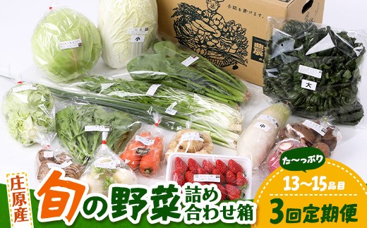 
                  【定期便 3回配送】広島県庄原産「旬の野菜」詰め合わせ箱（13～15品目）野菜セット やさい 3ヵ月 3か月 3ヶ月 定期 頒布会
                