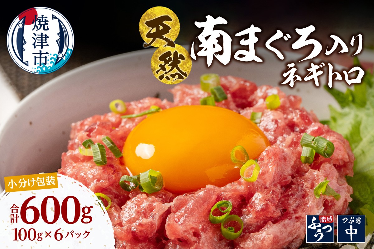 
                  a10-1274　ミナミマグロ入り マグロのたたき 100g 小分け パック セット 焼津 海の極 ネギトロ 天然 新鮮 冷凍 ねぎとろ 小分け 600g（100g× 6パック）
                