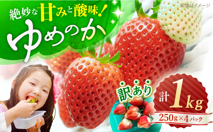 【先行予約】【 訳あり 】 ゆめのか いちご 計1kg（250g×4パック）＜川原農園＞ [CDR001] 長崎 西海 いちご 苺 イチゴ