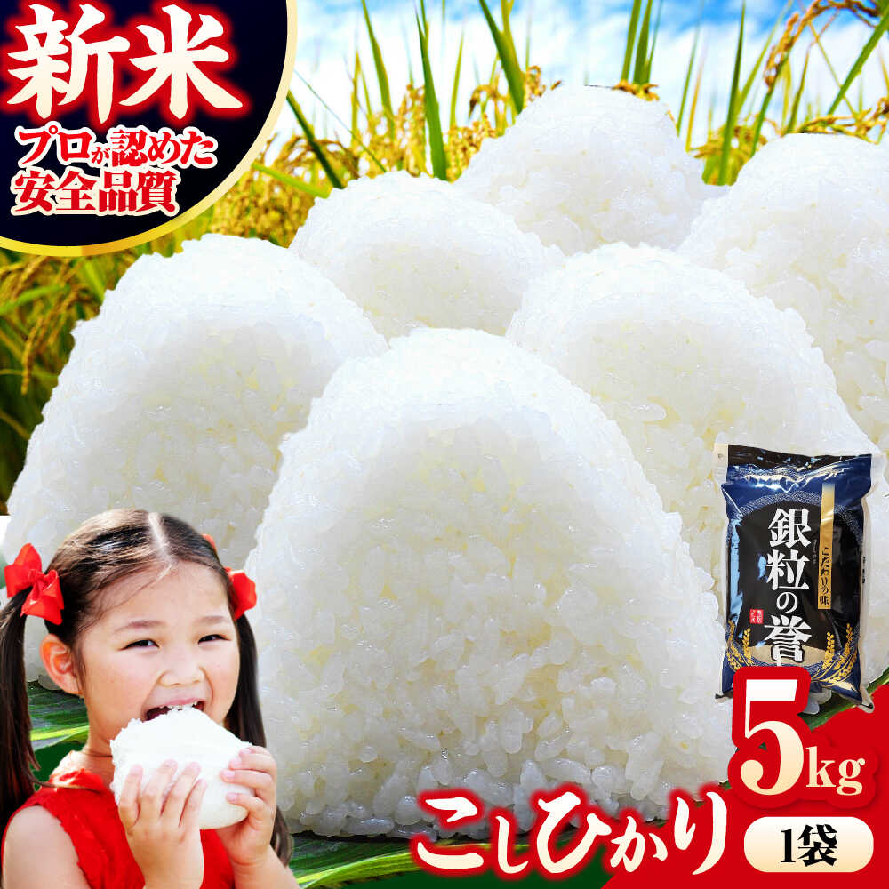 【ふるさと納税】【令和7年産米】こしひかり 5kg 三次市/アグリ君田[APDC001] コシヒカリ 米 5キロ お米 五キロ 新米 こめ おこめ コメ 白米 国産 令和7年産 令和7年度米 ごはん ご飯 精米 精白米 ギフト お歳暮 お中元 お祝い 内祝い 贈り物 プレゼント 産地直送