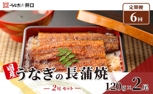 ITI優秀味覚賞受賞 国産うなぎ 定期便 6ヶ月 長蒲焼き 2尾 (120g×2尾) 山椒 たれ セット うなぎの井口 国産 うなぎ 鰻 蒲焼き うなぎの蒲焼 小分け 冷蔵 おすすめ 贈答用 ギフト 6回 半年 お楽しみ 静岡 静岡県 浜松市 【配送不可：離島】