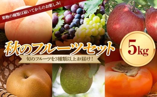 《先行予約 2025年度発送》秋のフルーツセット5kg もも モモ 桃 マスカット デザート フルーツ 果物 くだもの 果実 食品 山形県 FSY-1896