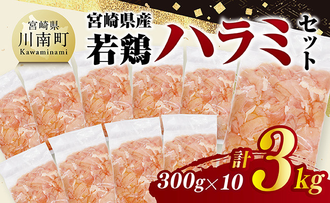 
                  宮崎県産若鶏　ハラミ3kg（300g×10） 【 鶏肉 鶏 ハラミ 肉 宮崎県産 小分け パック 送料無料 】
                