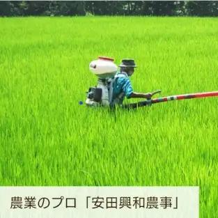 【令和8年産新米予約】阿賀野市産「にじのきらめき」10kg（5kg×2袋）  安田興和農事 生産者直送 新潟県 米 こめ コメ 新米 新米予約 令和8年産 10月下旬より順次発送予定 1W07018