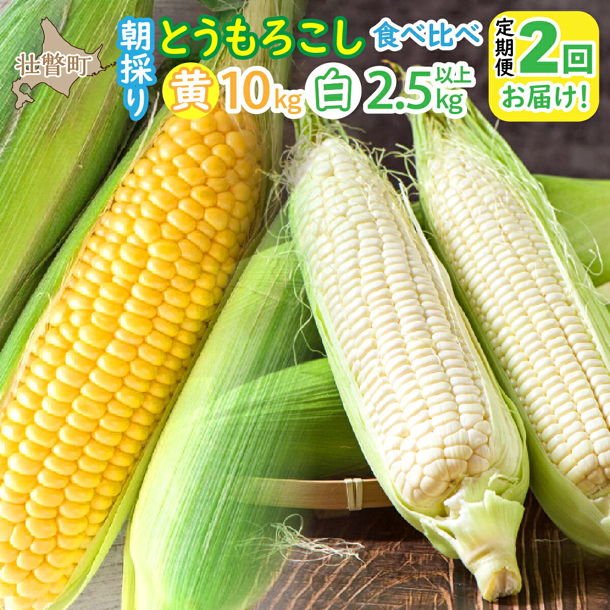 【ふるさと納税】北海道壮瞥町 2回 定期便 8月上旬・8月下旬朝採り！壮瞥町産 とうもろこし黄・白 食べ比べ ふるさと納税 人気 おすすめ ランキング トウモロコシ とうもろこし ホワイトコーン ピュアホワイト 白い 野菜 甘い 定期便 北海道 壮瞥町 送料無料 SBTP011