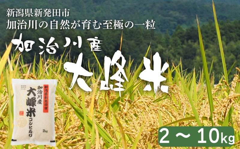 
                  【大峰米コシヒカリ】 令和7年産 新潟県産 コシヒカリ 2kg 5kg 10kg 新潟県 新発田市 加治川産 新発田産 新潟 ふるさと納税 精米 米 お米 大峰米 白米 米 お米 こめ コメ ライス ご飯 ごはん 美味しい 贈り物 国産 新潟県 新発田市 お取り寄せ 令和7年産米 産地直送 GAP認証 JGAP アグリ加治川 agk007P
                