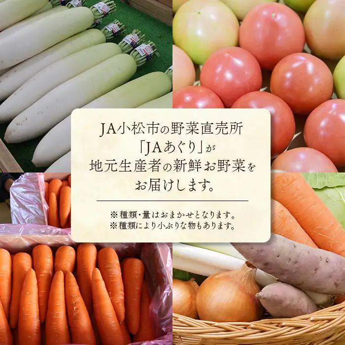 《野菜 定期便 12ヵ月 JA小松市（毎月）》季節 野菜 詰合せ 定期便 詰合せ  石川県 小松市 北陸 石川県 北陸