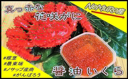 C-59020 【北海道根室産】花咲がに、醤油イクラセット