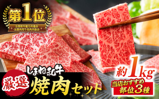 焼肉セット しまね和牛 部位3種(1kg) 島根県松江市/株式会社O.R.C [ALEF003]｜小分け 冷凍 国産 牛肉 しまね和牛 和牛 焼き肉 やきにくセット ヤキニクセット 赤身 黒毛和牛 人気 おすすめ ロース肉 カルビ やきにく 焼き肉 島根県 松江市 しまね和牛専門店