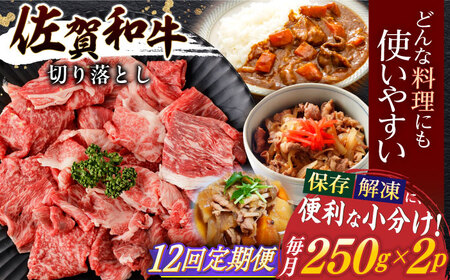 【12回定期便】佐賀和牛切り落とし 計500g[NAC164]牛肉切り落とし牛肉切り落とし牛肉切り落とし牛肉切り落とし牛肉切り落とし