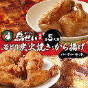 【ふるさと納税】鳥せい本店 の 若どり 炭火焼き & から揚げ パーティー セット 鶏肉 手羽 むね肉 もも肉 詰め合わせ 真空パック 冷蔵 職人技 こだわり お取り寄せ ソウルフード 北海道 清水町 送料無料