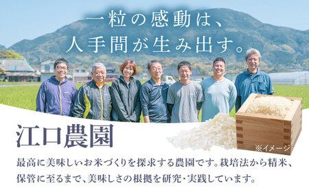【3回定期便】【4-6月発送】令和7年産米 さがびより 白米 10kg/江口農園[UBF027] 白米 米