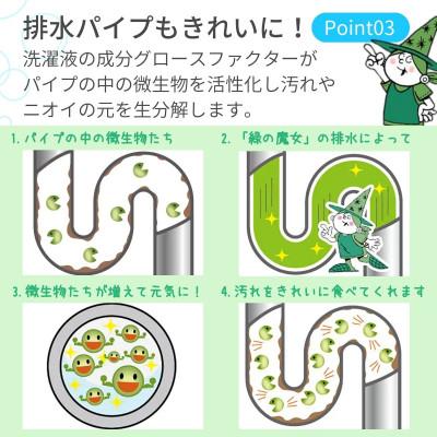 ふるさと納税 龍ケ崎市 【毎月定期便】次世代型環境配慮型洗剤 緑の魔女キッチン5L×1 全12回 |  | 03