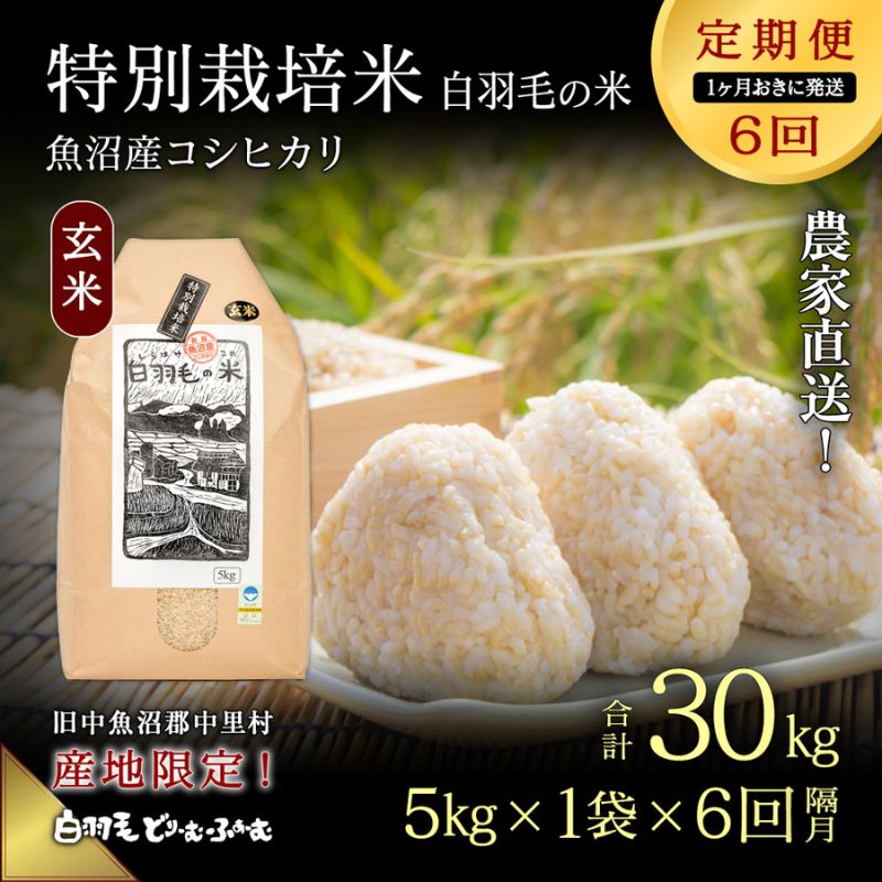 【ふるさと納税】【通年受付】≪令和7年産 ≫【定期便／1ヶ月おき全6回】農家直送！魚沼産コシヒカリ特別栽培「白羽毛の米」玄米(5kg×1袋)×6回 30kg お米 白米　お届け：10月1日～発送開始。入金の翌月以降発送。1ヶ月おきに月全6回お届けいたします。