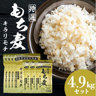 ふるさと納税 安芸高田市 もち麦 国産 キラリモチ 特選もち麦 4.9kgセット 広島県安芸高田産[No5895-0559]